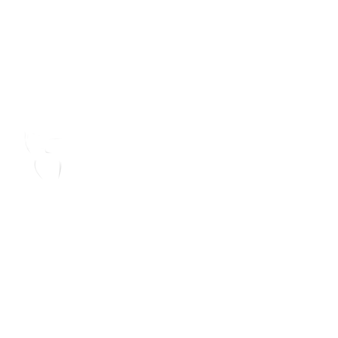 Plus Figures Shapewear